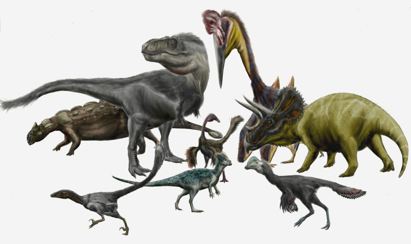 Il n'y aurait pas eu de lent déclin des dinosaures en Amérique du Nord  avant leur grande extinction – L'univers de la géologie
