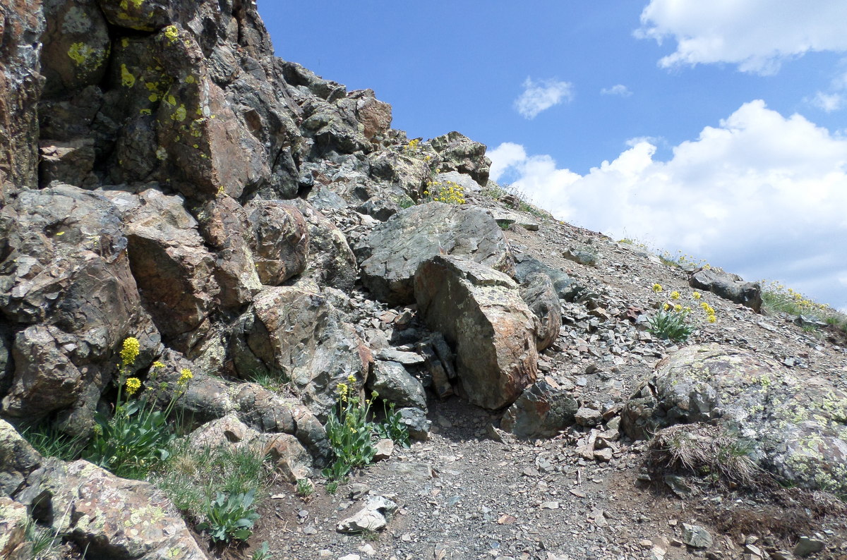 La France au Jurassique L'univers de la géologie