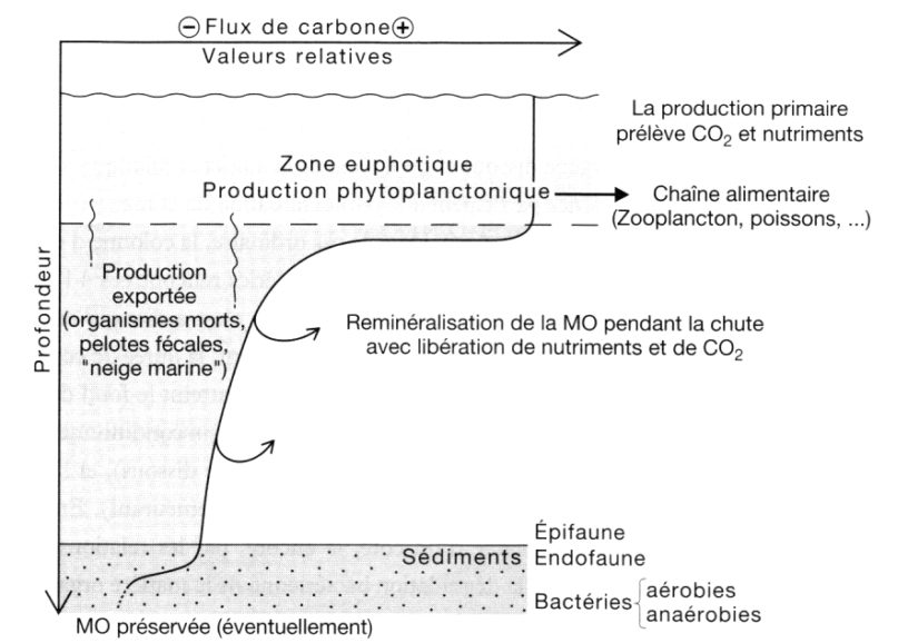 La formation du pétrole et du gaz naturel L'univers de la géologie — free download