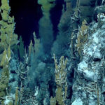 Cheminée hydrothermale