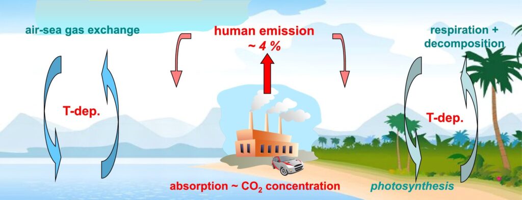 Cycle du carbone d'après Hermann Harde