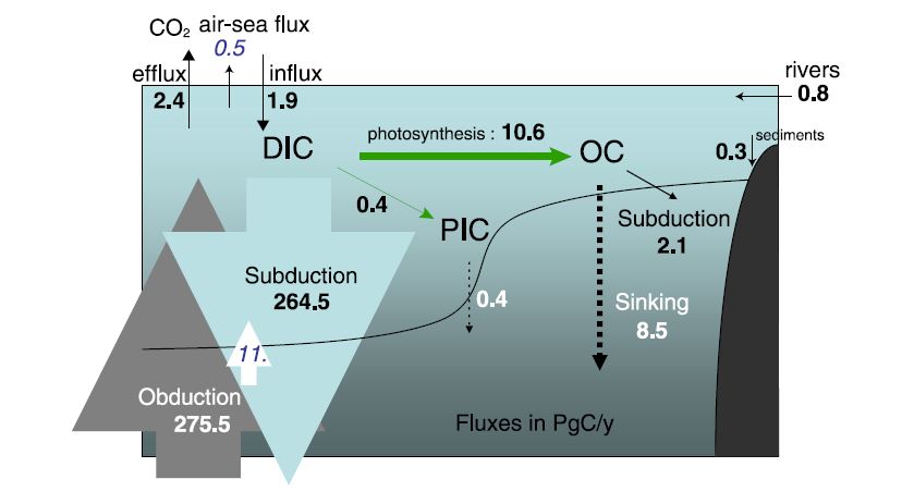 Flux de carbone dans l'océan.